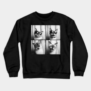 Siamese cat picture Crewneck Sweatshirt